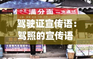 驾驶证宣传语：驾照的宣传语 