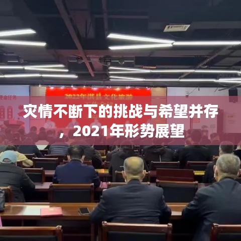 灾情不断下的挑战与希望并存，2021年形势展望