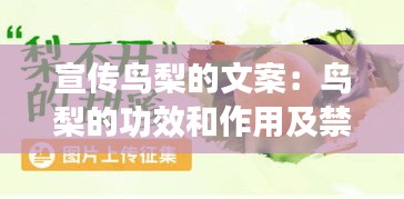 宣传鸟梨的文案：鸟梨的功效和作用及禁忌 