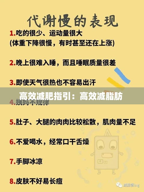 高效减肥指引：高效减脂肪 
