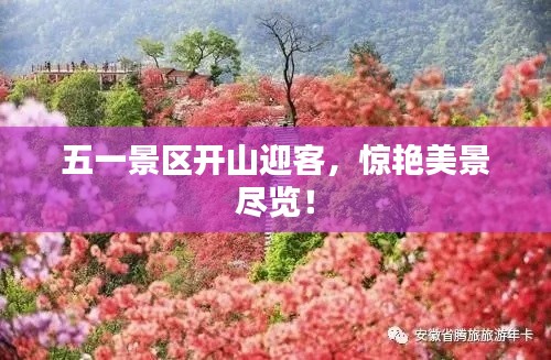 五一景区开山迎客，惊艳美景尽览！