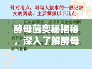 酵母菌奥秘揭秘，深入了解酵母菌的PPT文章专题