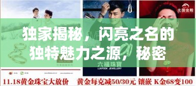 独家揭秘，闪亮之名的独特魅力之源，秘密配方大公开！