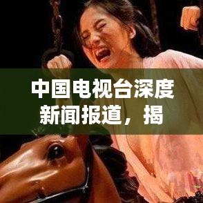 中国电视台深度新闻报道，揭示真相，传递真实力量