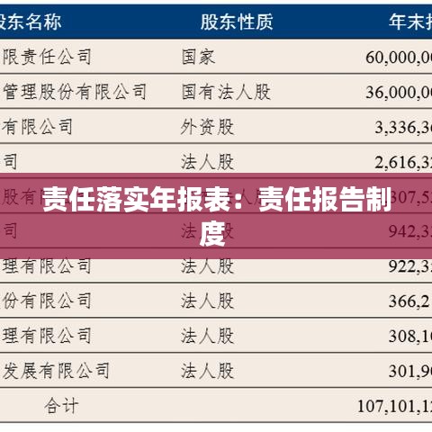 责任落实年报表：责任报告制度 