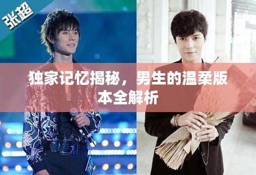 独家记忆揭秘，男生的温柔版本全解析