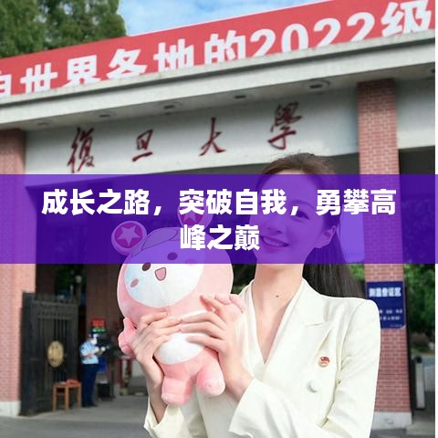 成长之路，突破自我，勇攀高峰之巅