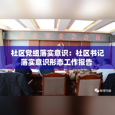 社区党组落实意识：社区书记落实意识形态工作报告 