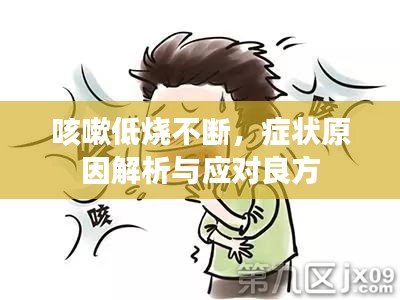 咳嗽低烧不断，症状原因解析与应对良方