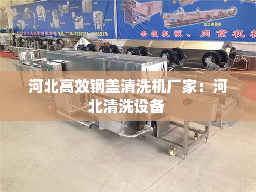河北高效钢盖清洗机厂家：河北清洗设备 