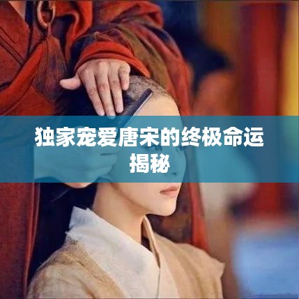 独家宠爱唐宋的终极命运揭秘