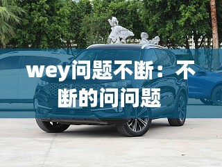 wey问题不断：不断的问问题 