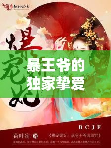 暴王爷的独家挚爱