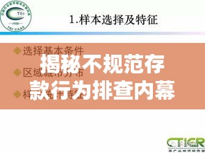 揭秘不规范存款行为排查内幕，一份详尽报告揭示真相！