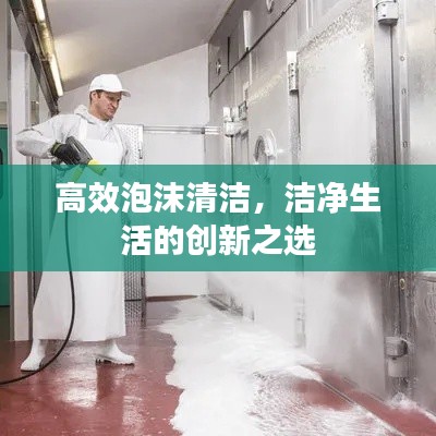 高效泡沫清洁，洁净生活的创新之选
