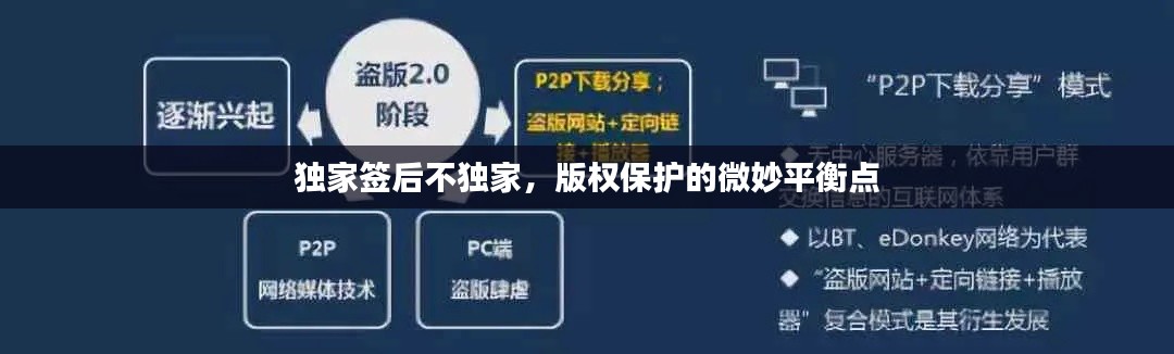 独家签后不独家，版权保护的微妙平衡点
