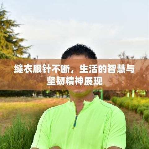缝衣服针不断，生活的智慧与坚韧精神展现