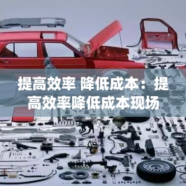 提高效率 降低成本：提高效率降低成本现场管理措施 
