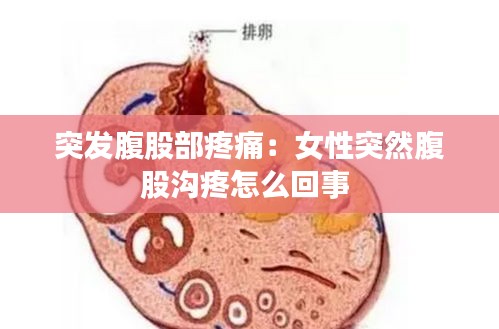 食而不化 第2页