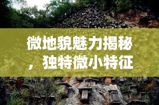 微地貌魅力揭秘，独特微小特征的独特魅力探索