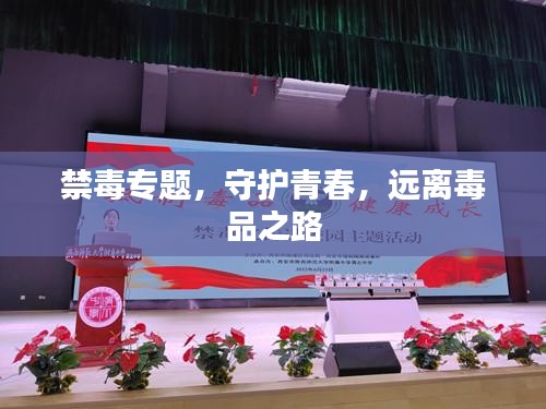 禁毒专题，守护青春，远离毒品之路