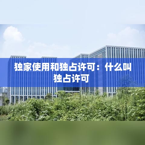 独家使用和独占许可：什么叫独占许可 