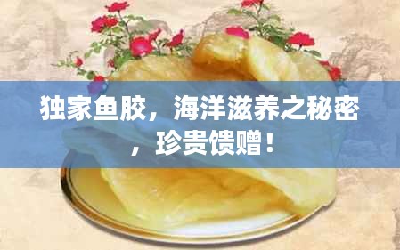 独家鱼胶，海洋滋养之秘密，珍贵馈赠！