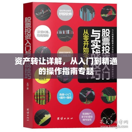 资产转让详解，从入门到精通的操作指南专题