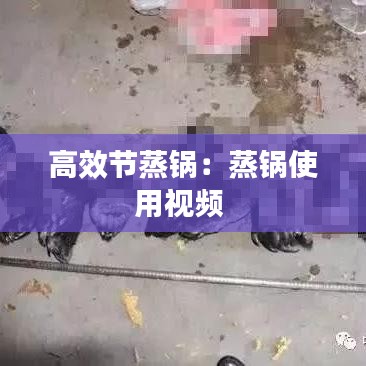 高效节蒸锅：蒸锅使用视频 