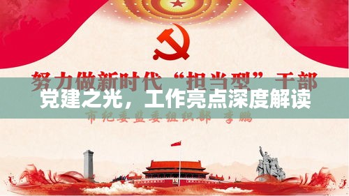 党建之光，工作亮点深度解读
