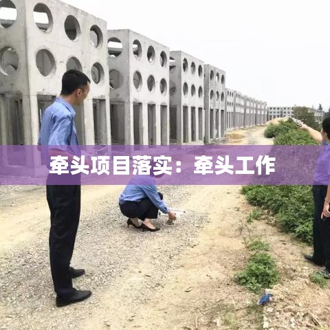 牵头项目落实：牵头工作 