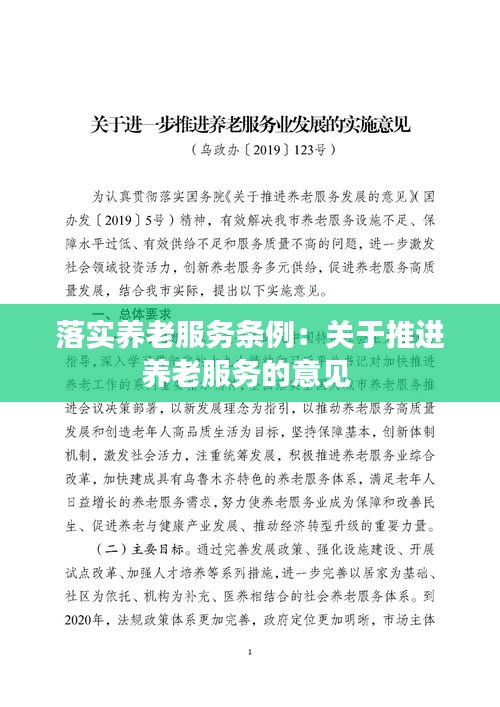 落实养老服务条例：关于推进养老服务的意见 