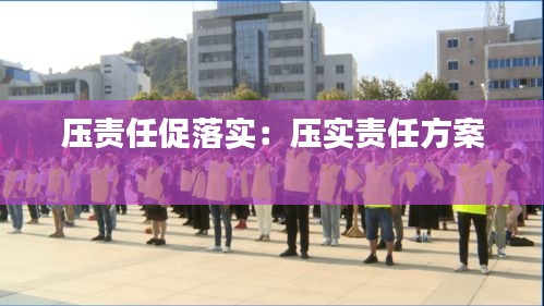 压责任促落实：压实责任方案 