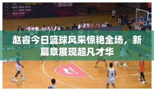 赵睿今日篮球风采惊艳全场，新篇章展现超凡才华