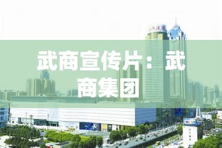 武商宣传片：武商集团 