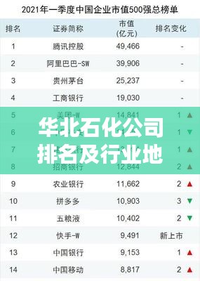 华北石化公司排名及行业地位揭秘
