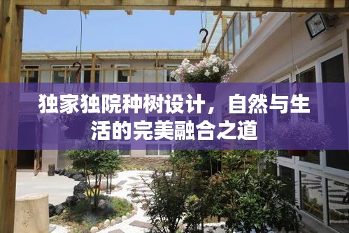 独家独院种树设计，自然与生活的完美融合之道