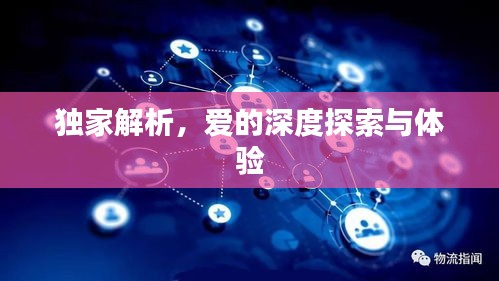 独家解析，爱的深度探索与体验