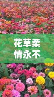 一毫不苟 第2页