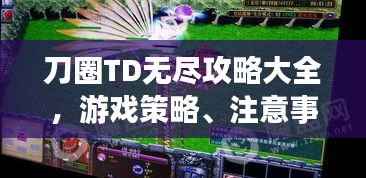 刀圈TD无尽攻略大全，游戏策略、注意事项及法律风险解读