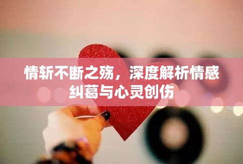 情斩不断之殇，深度解析情感纠葛与心灵创伤