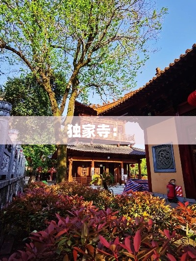 独家寺： 