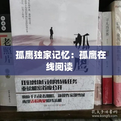 孤鹰独家记忆：孤鹰在线阅读 