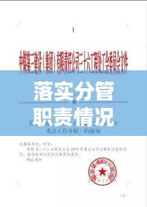 落实分管职责情况：分管具体工作 