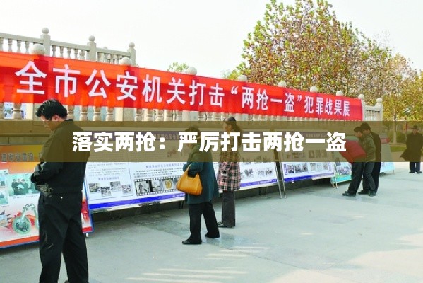 落实两抢：严厉打击两抢一盗 