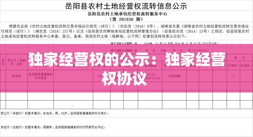 囫囵吞枣 第3页