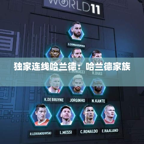 独家连线哈兰德：哈兰德家族 