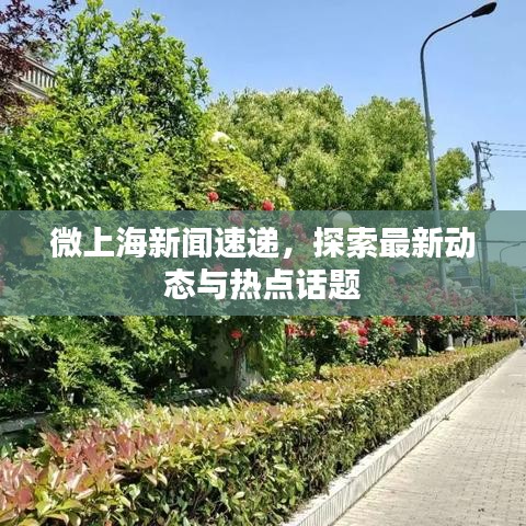 微上海新闻速递，探索最新动态与热点话题