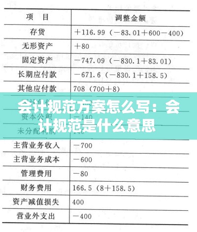 会计规范方案怎么写：会计规范是什么意思 
