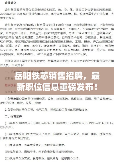 岳阳铁芯销售招聘，最新职位信息重磅发布！